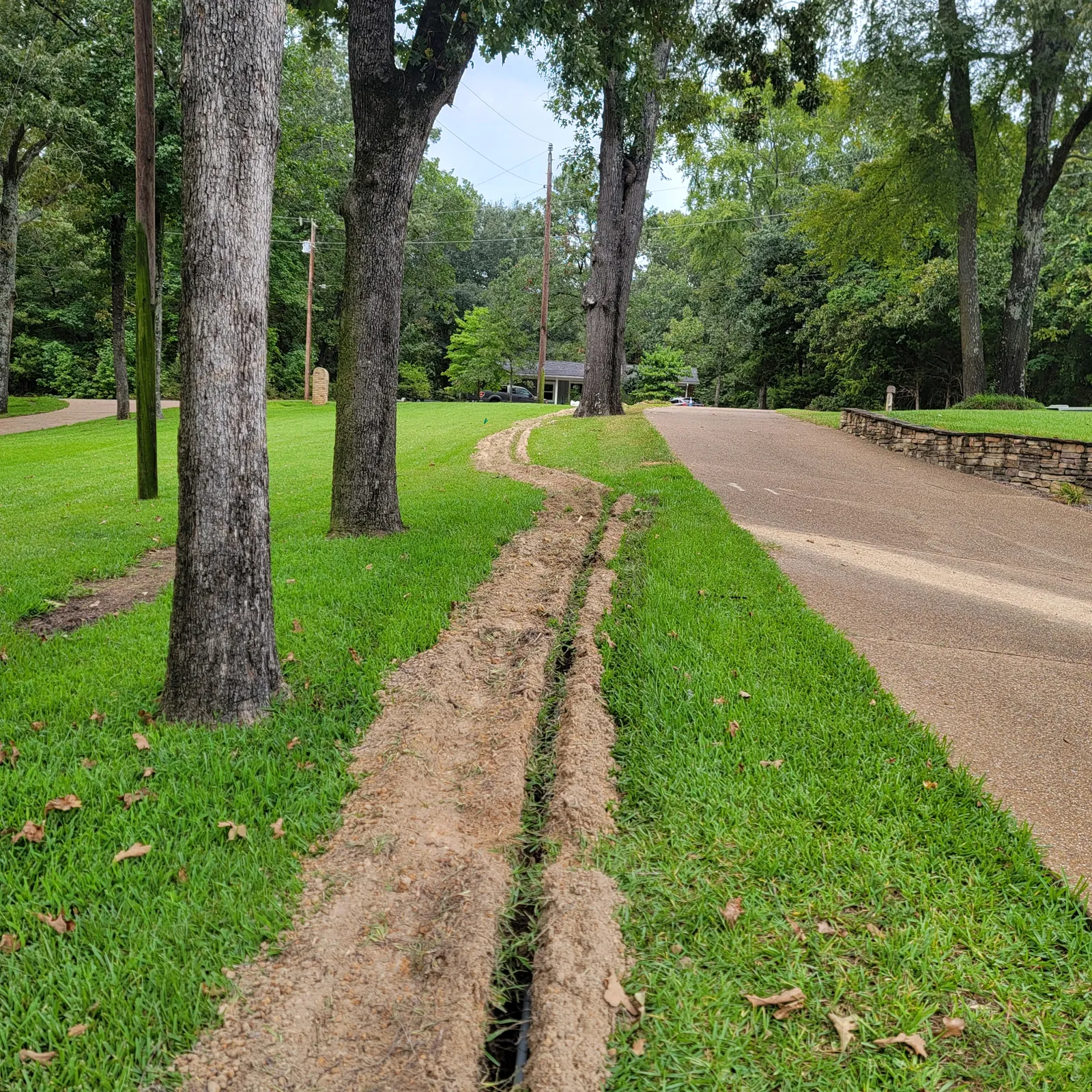 Narrow trench cut alongside a paved drive under tall trees in East Texas